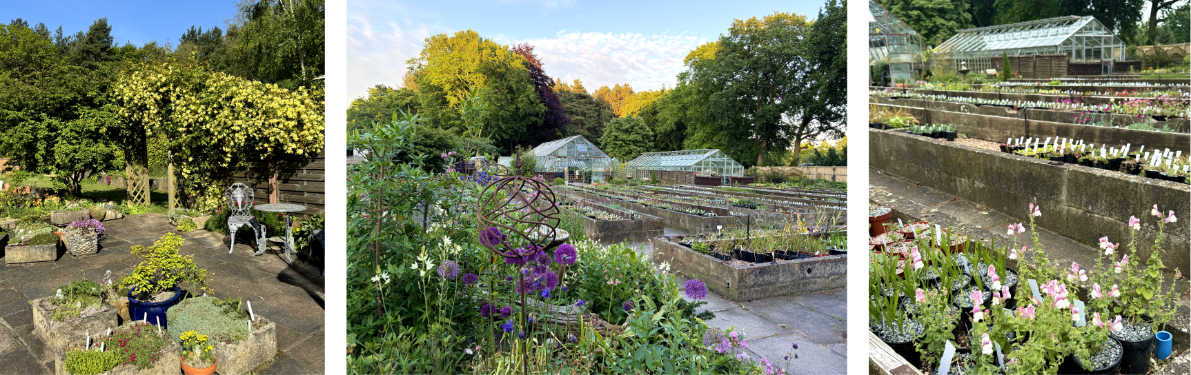 A photo of some recent group Visits at the Nursery